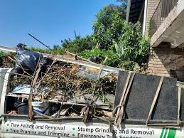 Best Carpet Removal and Disposal  in Fern Park, FL